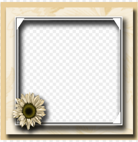 flower photo frame - flower photo frame Transparent PNG Isolated Subject Matter