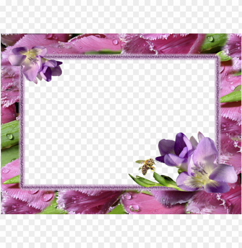 Flower Photo Frames Hd Isolated Graphic On HighQuality Transparent PNG