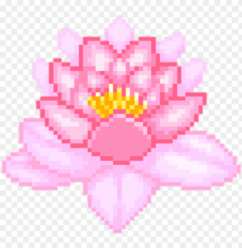flower and lotus image - flower pixel Clear background PNG images comprehensive package
