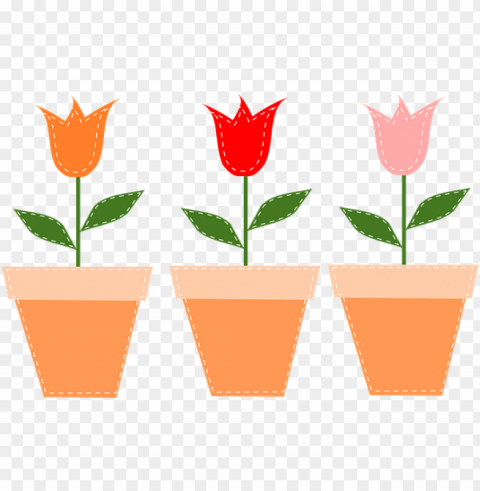 Flower Pots Pots Tulips Flowers Pot Tulip - Mothers Day Banner Isolated Object With Transparency In PNG