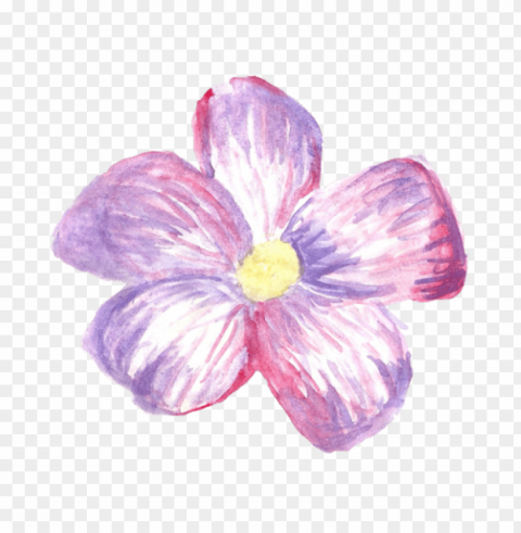 Flower Tumblr Transparent PNG Stock Photos