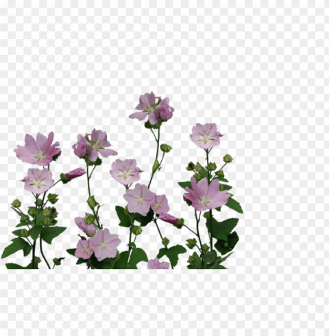 flower transparent tumblr Clean Background Isolated PNG Icon PNG transparent with Clear Background ID db9fb636