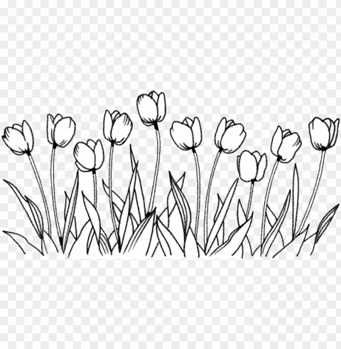 flower tulip coloring book line art drawing - flowers drawing Transparent PNG Isolated Illustration