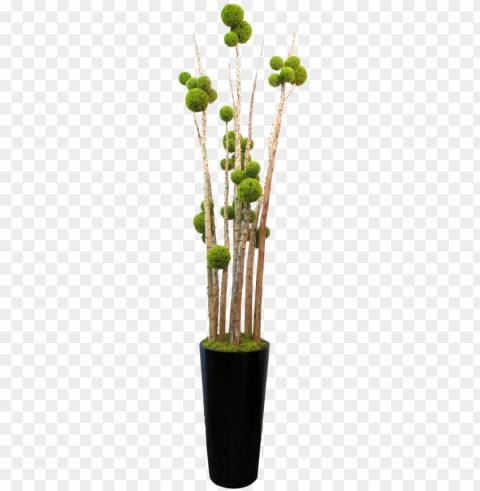 flower vase - flower in vase Transparent PNG images database