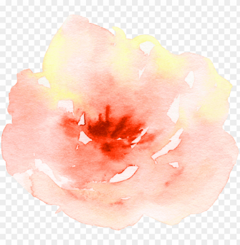 flower watercolor watercolour peach aesthetic pretty - watercolor painti ClearCut Background Isolated PNG Art