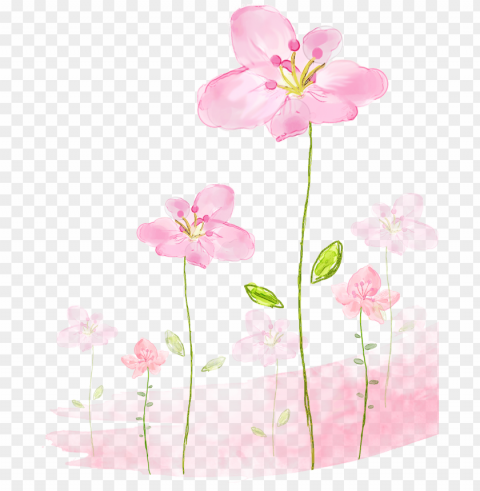 flowers background - watercolor pink flower background Isolated Artwork in HighResolution Transparent PNG