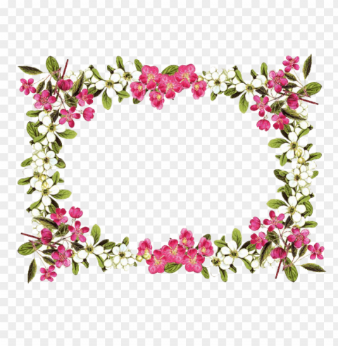 flowers frame rose Transparent PNG images database