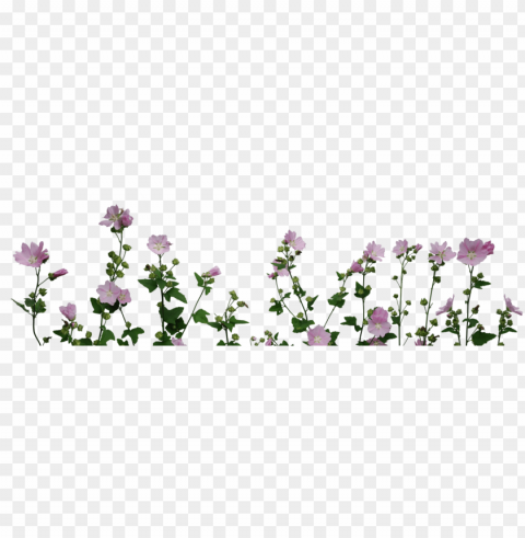 flowers format - plants and flower PNG for overlays