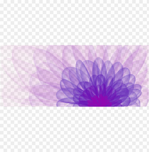 flowers pink purple Isolated Item on Transparent PNG Format PNG transparent with Clear Background ID 3286513f