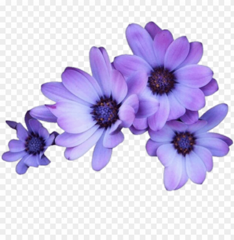 flowers purple tumblr overlays editingneeds foredit - purple flowers Isolated Icon on Transparent PNG