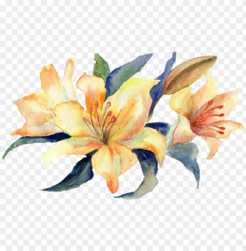 Flowers Stickers Aesthetic Cute Filter - Flower Watercolor Lily High-resolution Transparent PNG Images Variety