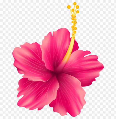 Flowers Isolated Character In Transparent Background PNG