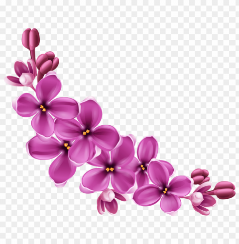 flowers background Isolated Graphic Element in Transparent PNG PNG transparent with Clear Background ID 389bd492