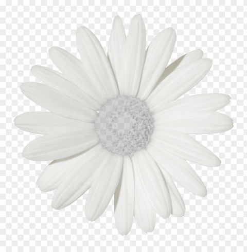 flowers tumblr Transparent PNG Isolated Item with Detail PNG transparent with Clear Background ID 2d5b1cc9