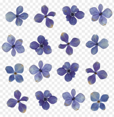 flowers tumblr Transparent PNG Isolated Object PNG transparent with Clear Background ID 7167f32c