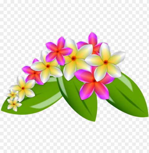 Flowers  Treesnature - Hawaiian Flower Vector High-quality Transparent PNG Images