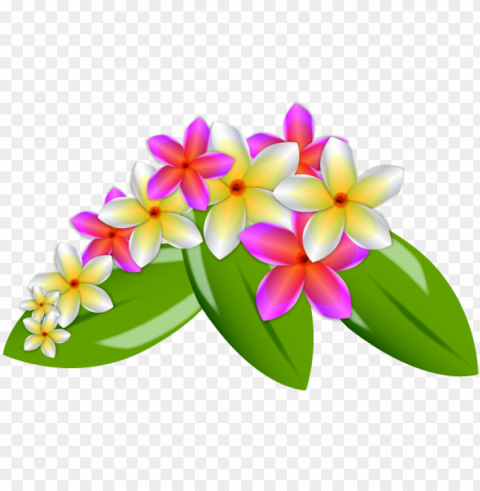 flowers & treesnature - hawaiian flower vector High-quality transparent PNG images PNG transparent with Clear Background ID a591b30b