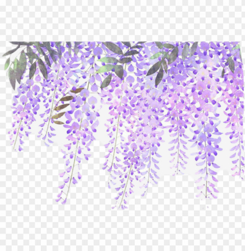 flowers vines purple sticker - lavender flower border PNG with Isolated Object and Transparency