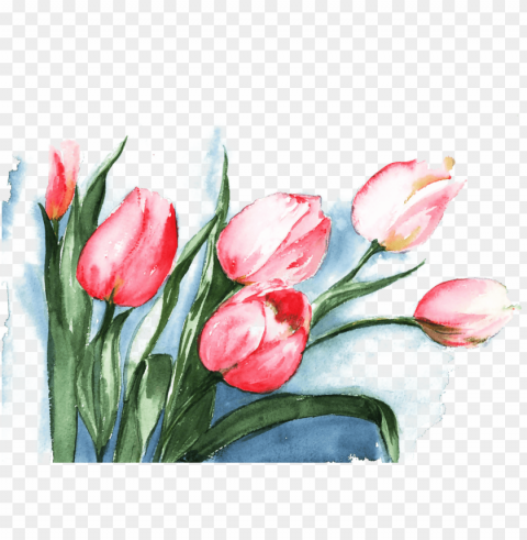 flowers watercolor painting drawing illustration - tulips watercolor painti PNG images with clear backgrounds