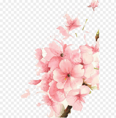 flowers watercolor painting transprent - cherry blossom watercolor phone PNG images for printing