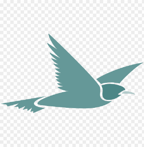 flying bird cartoon transparent background PNG files with no royalties