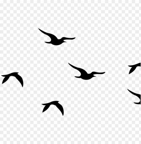flying bird clipart bird - portable network graphics Isolated Element with Clear PNG Background