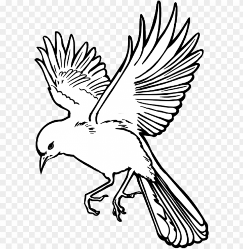 flying bird drawing - flying bird drawing art PNG free transparent