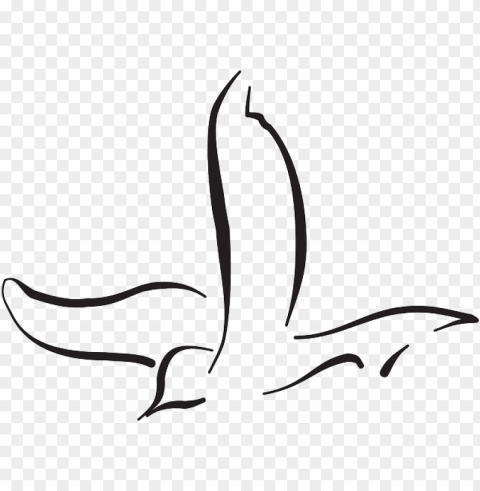 flying bird line drawing PNG images with transparent elements