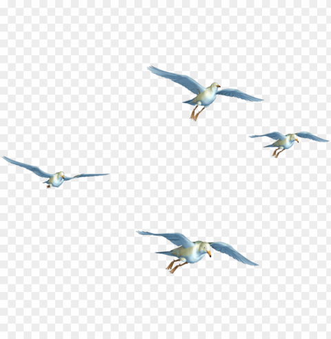 flying bird transpa pluspng - birds flying hd PNG images for editing