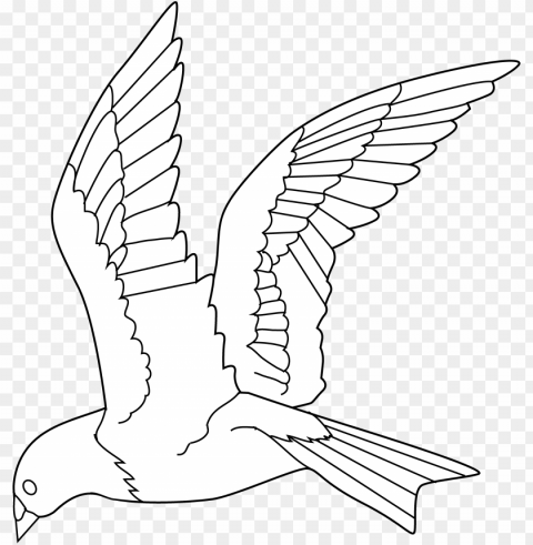 flying birds clipart gallery bird black and white - flying parrot line drawi PNG pictures without background