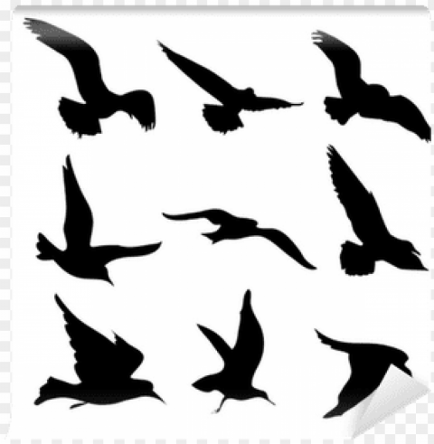 flying birds silhouettes illustration wall mural - sagome uccelli in volo PNG transparent photos for presentations