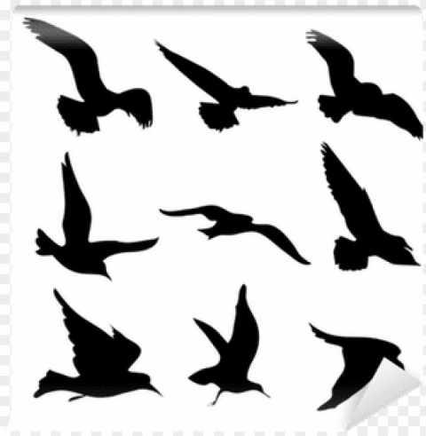 flying birds silhouettes illustration wall mural - sagome uccelli in volo PNG transparent photos for presentations PNG transparent with Clear Background ID 0a100abd