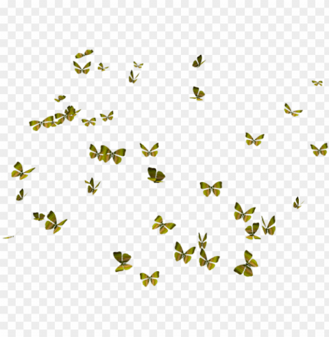 flying butterflies - butterflies PNG with transparent background free