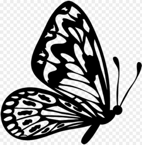 flying butterfly outline clipart - flying butterfly clipart black and white Clear Background Isolated PNG Object