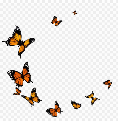flying butterfly transparent image - transparent background butterfly fly PNG images with clear alpha layer