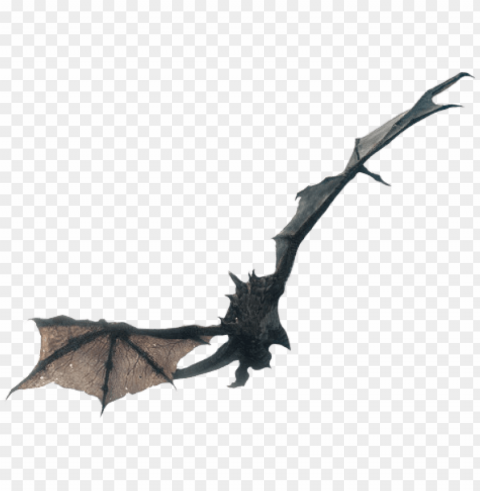 flying dragon from skyrim - skyrim wallpaper 1080 Clear PNG pictures free
