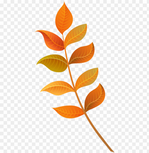 foliage clipart fall decoration - fall leaf clipart PNG images with alpha background