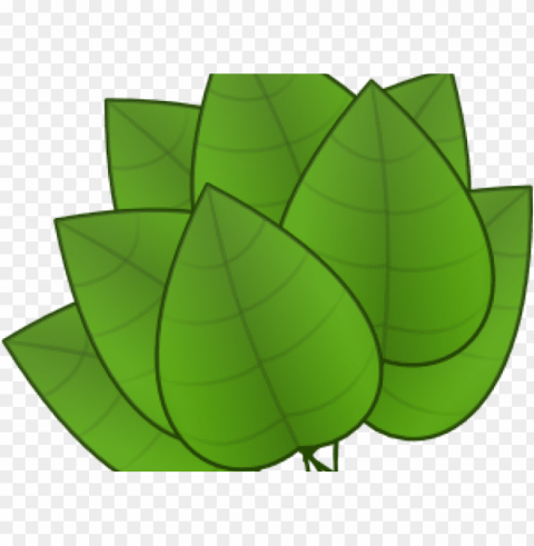 foliage clipart rainforest leave - parts of the plants leaf PNG Image with Isolated Artwork