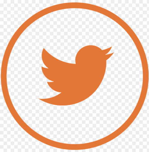 follow uf law to keep up with our faculty students - twitter bird logo psd Isolated Element with Clear Background PNG