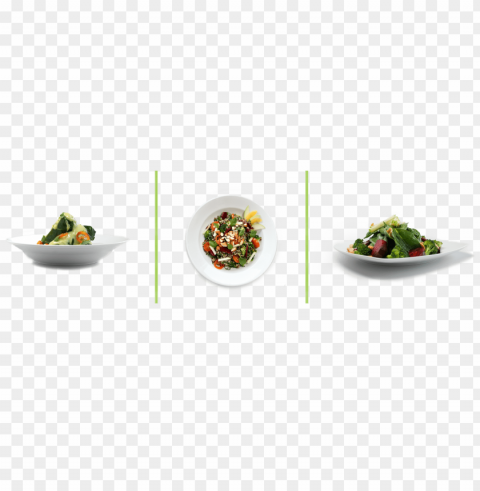 food photography top view Isolated Graphic in Transparent PNG Format