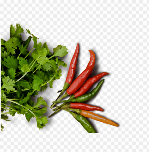 food high-quality image - food from to PNG images with transparent layer