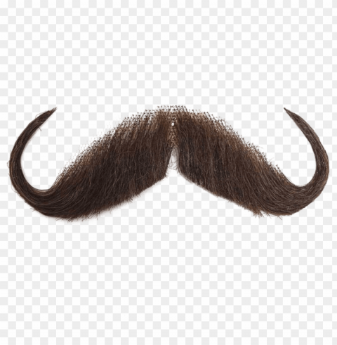 for this time you need to make photo bomb with this - background moustache PNG with transparent backdrop