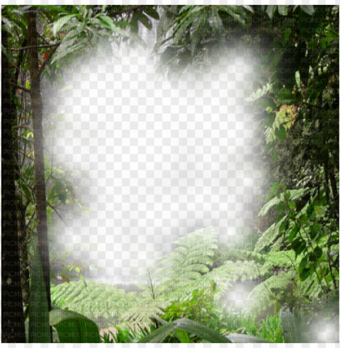 forest frame - waterfall Isolated Graphic on Transparent PNG