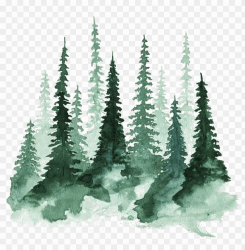 Forest Hd Photo - Watercolor Trees Transparent PNG Graphics Bulk Assortment