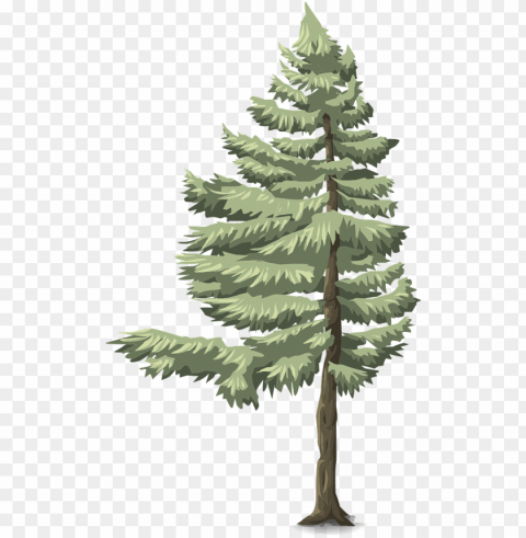 forest tree conifer green nature forest - coniferous forest biome clipart PNG Graphic Isolated on Clear Background Detail