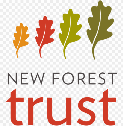 forest trust PNG images with no background necessary