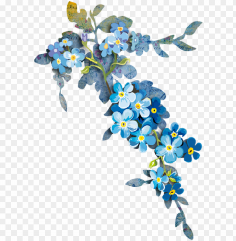 forget me nots - blue watercolor border flowers PNG files with transparent elements wide collection