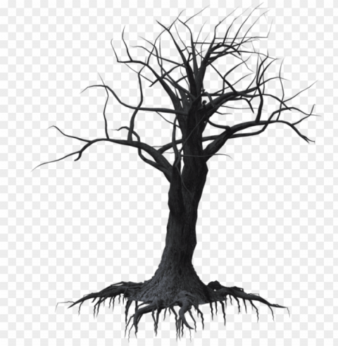 forrest drawing dead tree forest - creepy tree Isolated Subject on HighQuality PNG