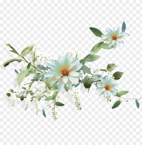 Фотки Nurcan Cüceoğluemeksensin - Small White Aster PNG Graphic With Transparent Isolation
