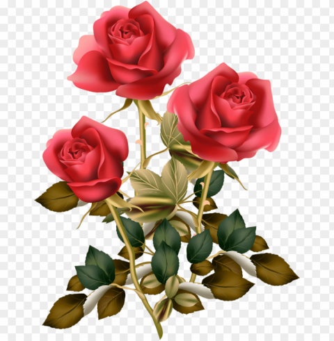 Фотки red rose red roses rose clipart vintage - flower good morning roses PNG photo